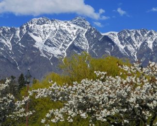 Spring in Queenstown with the Remarkables mountain range and blossoms