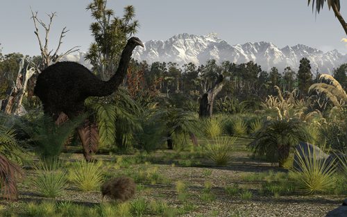 Time Tripper Queenstown underwater observatory with New Zealand history Moa and Kea and Tuatara 750 years ago