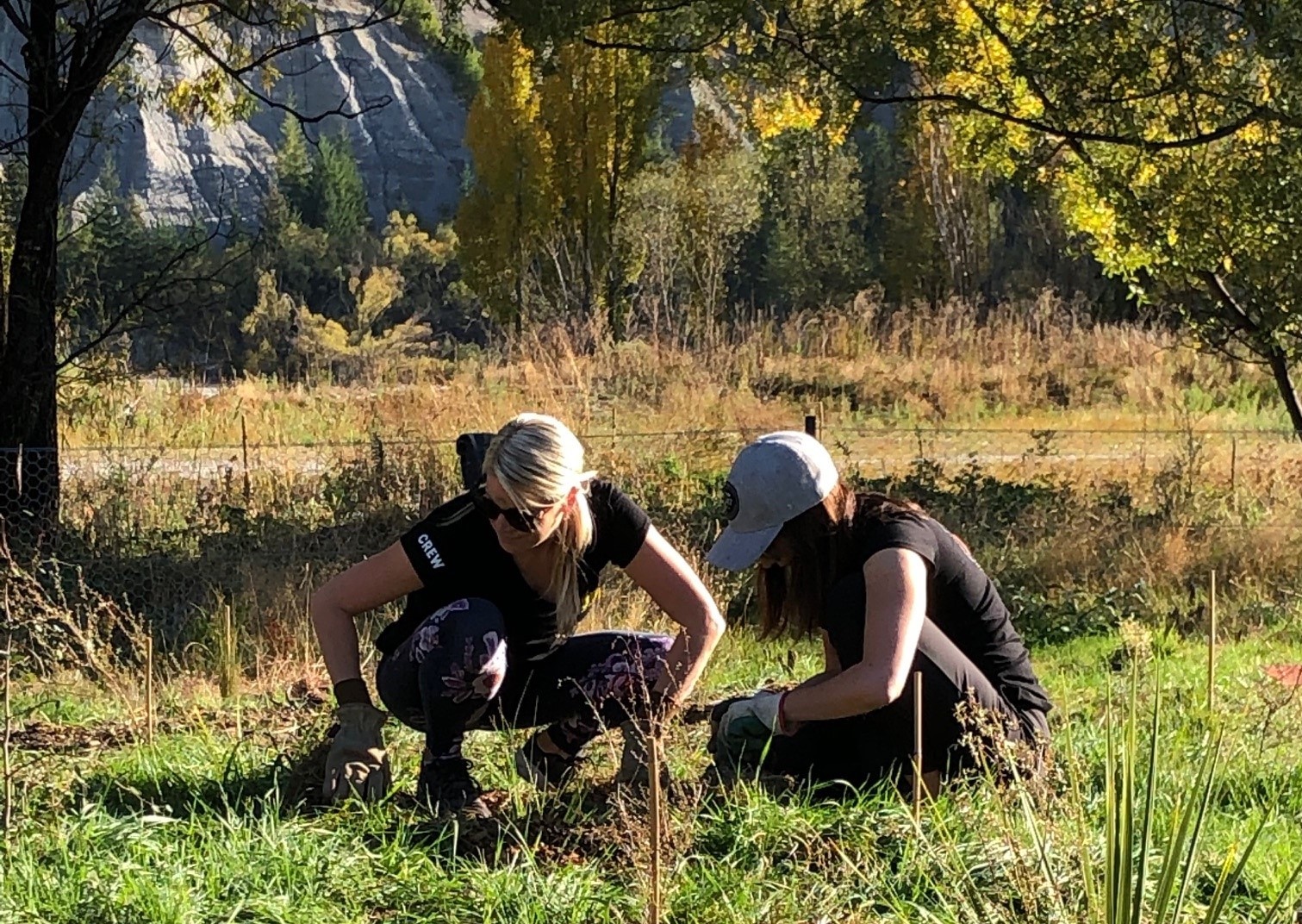 KJet staff planting trees at Tucker Beach Wildlife Reserve