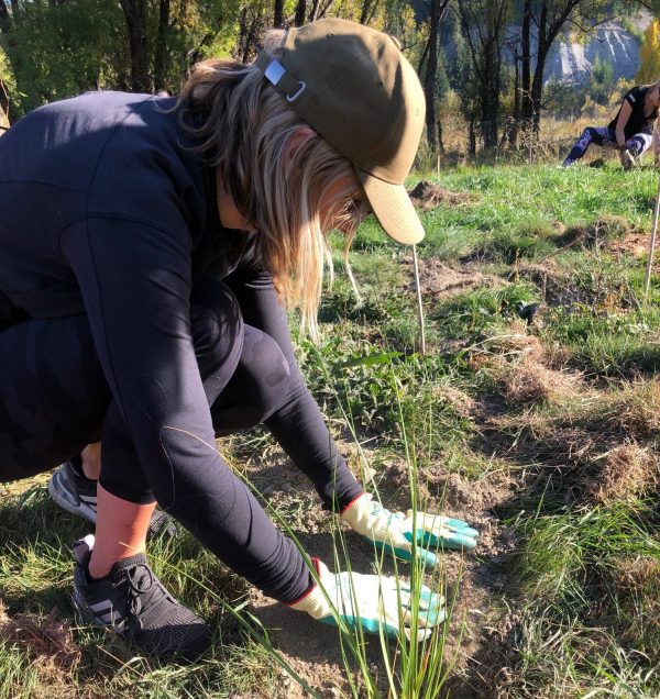 KJet staff planting trees at Tucker Beach Wildlife Reserve