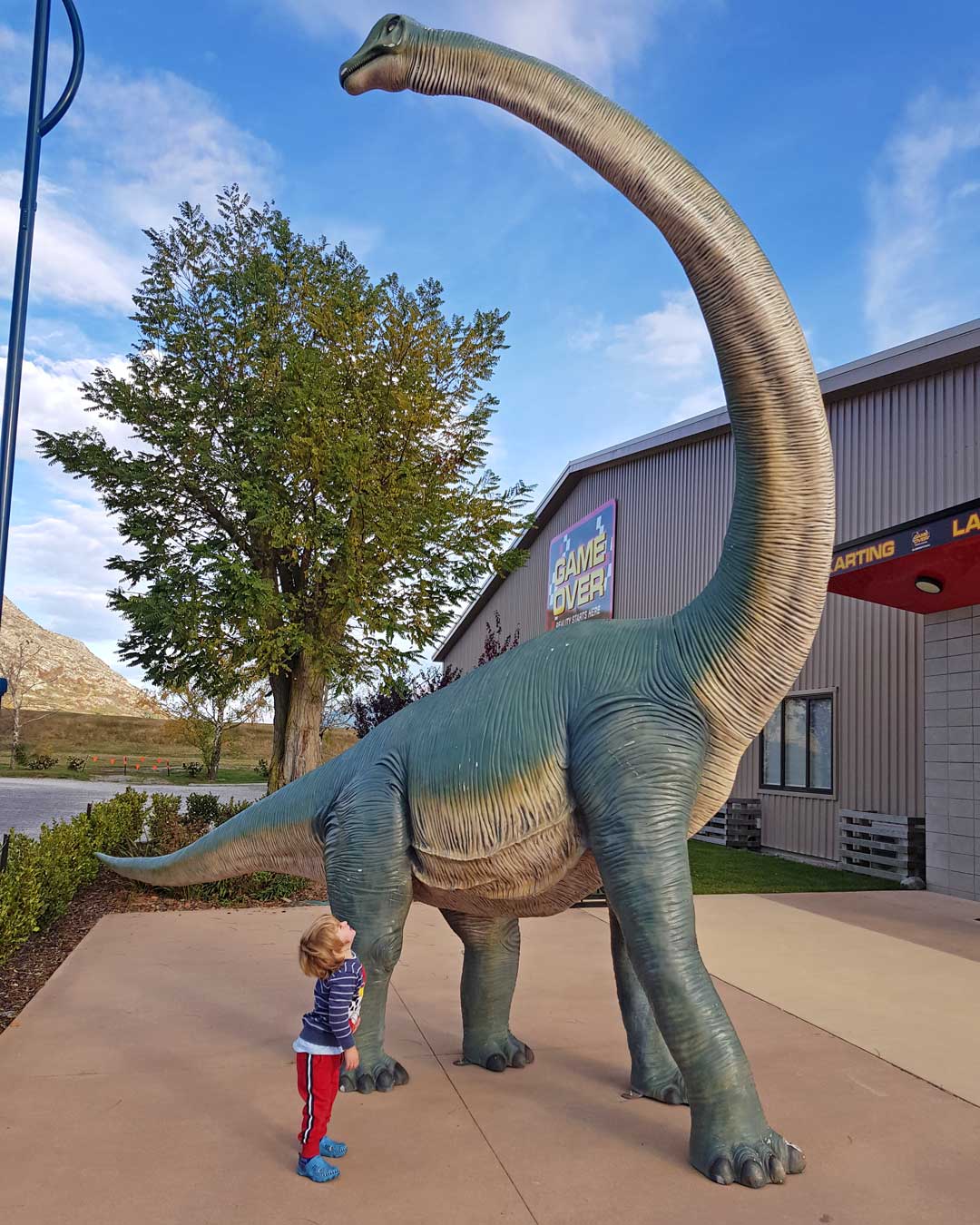 Dinosaur activities in Queenstown