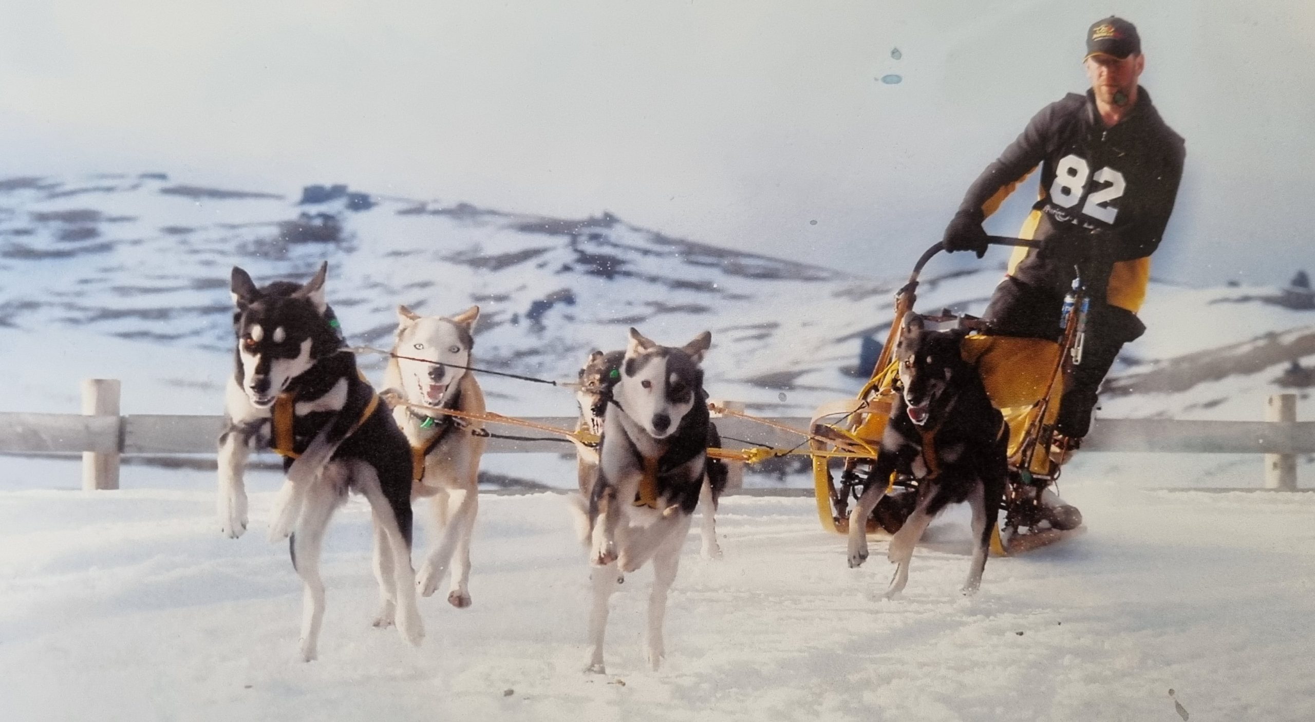Tony Turner KJet mechanic sled dogs Snow Farm