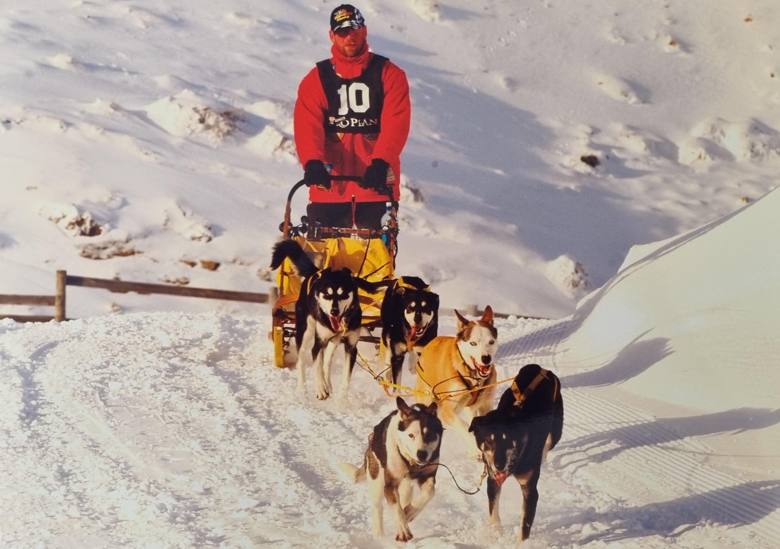 KJet Queenstown mechanic Tony Turner sled dogs
