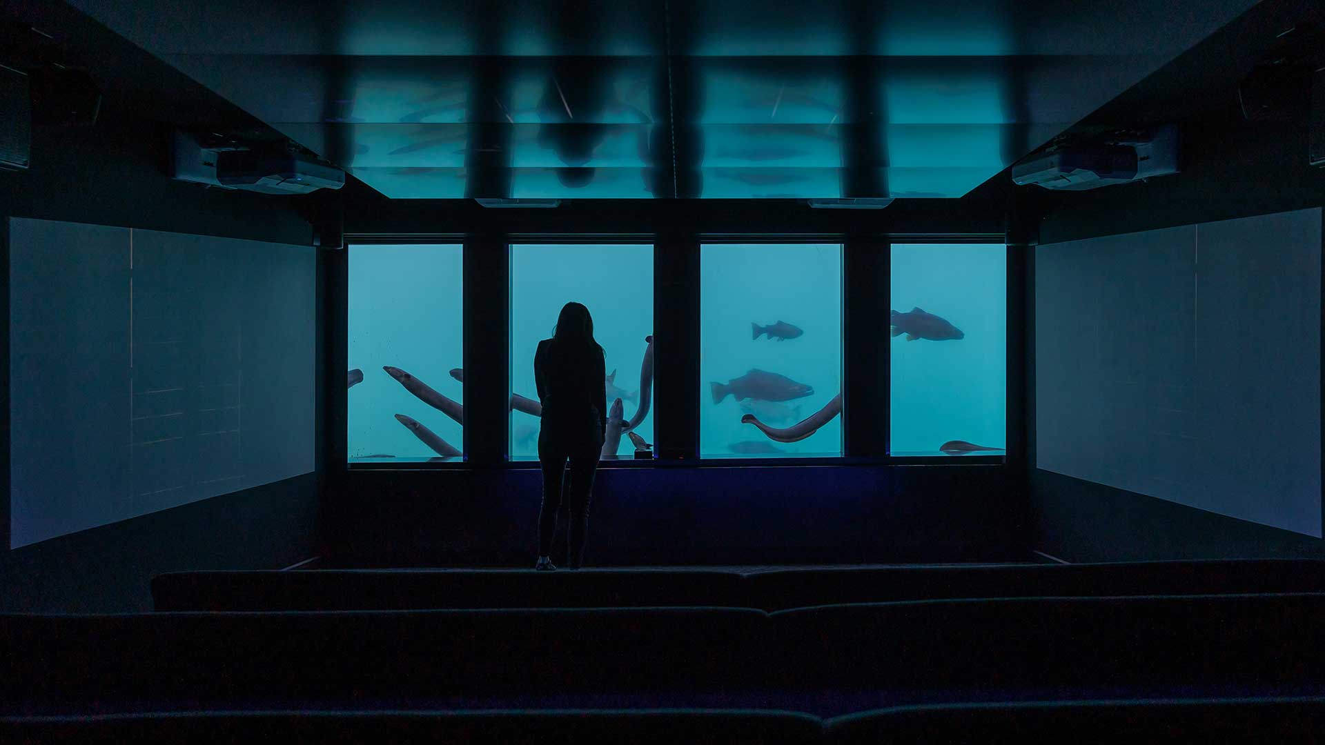 Time Tripper Queenstown Underwater Fish Viewing