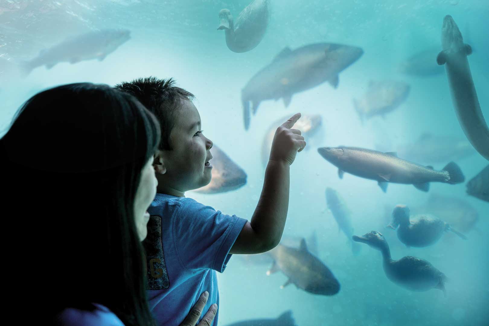 Time Tripper Underwater Theatre