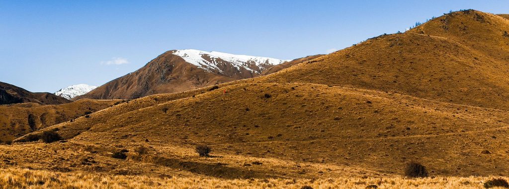 If you fancy a little challenge, Sawpit Gully is a great day hike